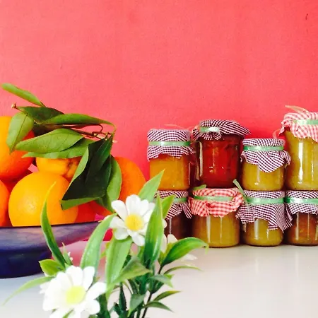 Bed & Breakfast A Due Passi Dal Centro